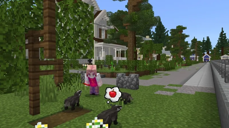 Animal Rescue Center