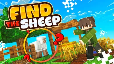 Find The Sheep