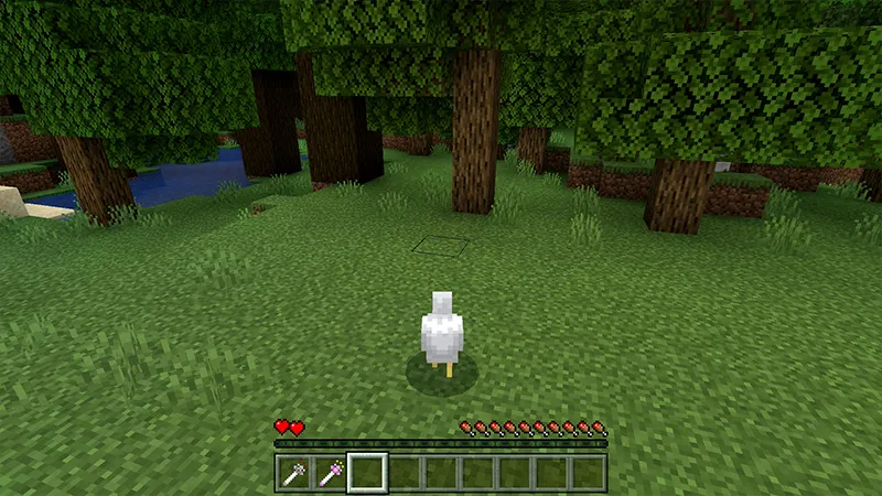 MORPH