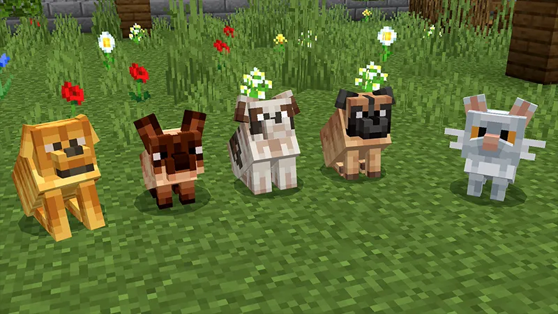 PETS++