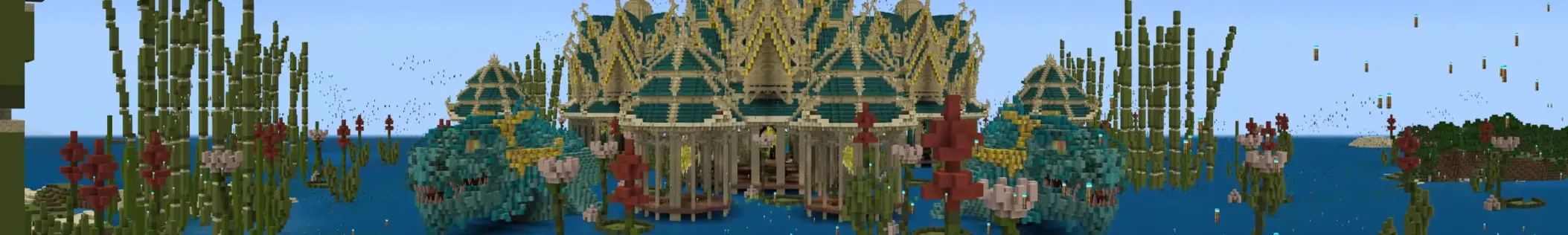 Dragon Dojo