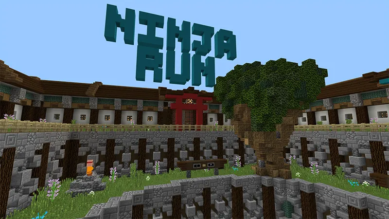 Ninja Run