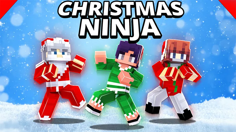 Christmas Ninja