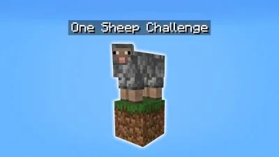One Sheep Challenge