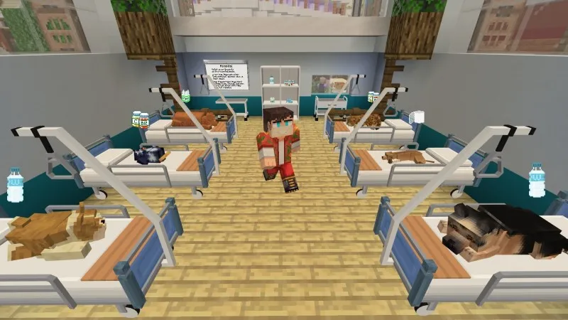 Vet Roleplay