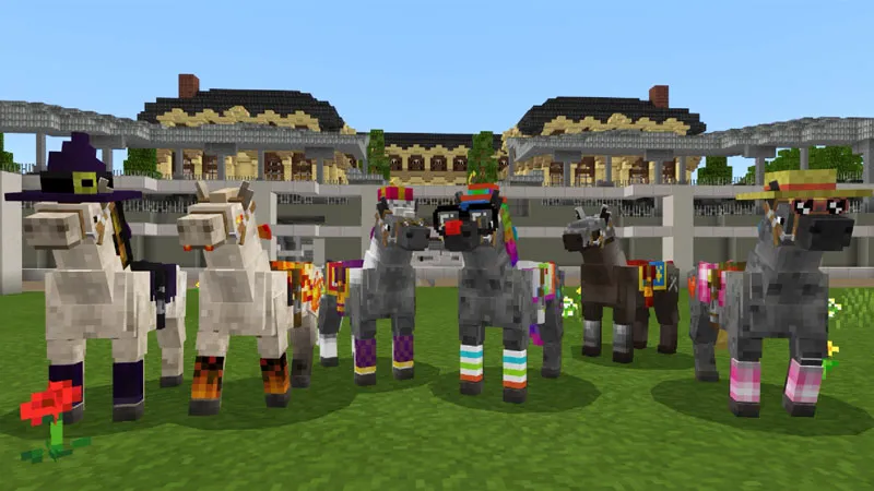 Horse School