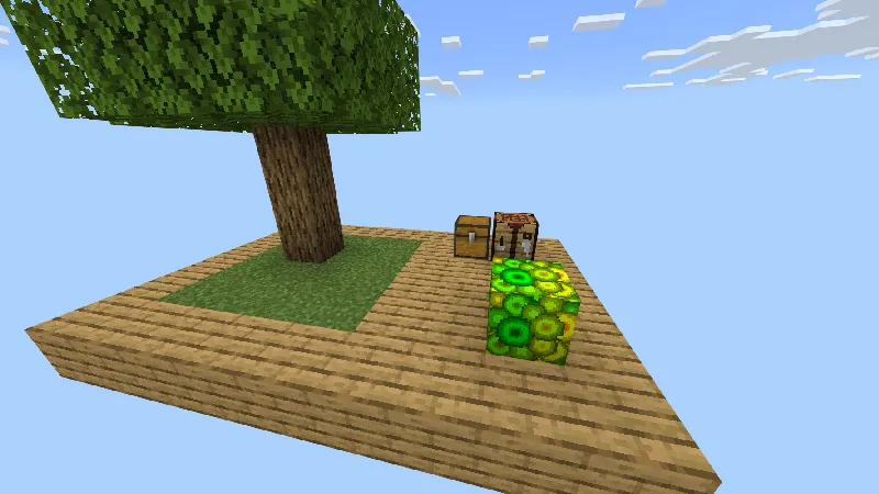ONE XP BLOCK!
