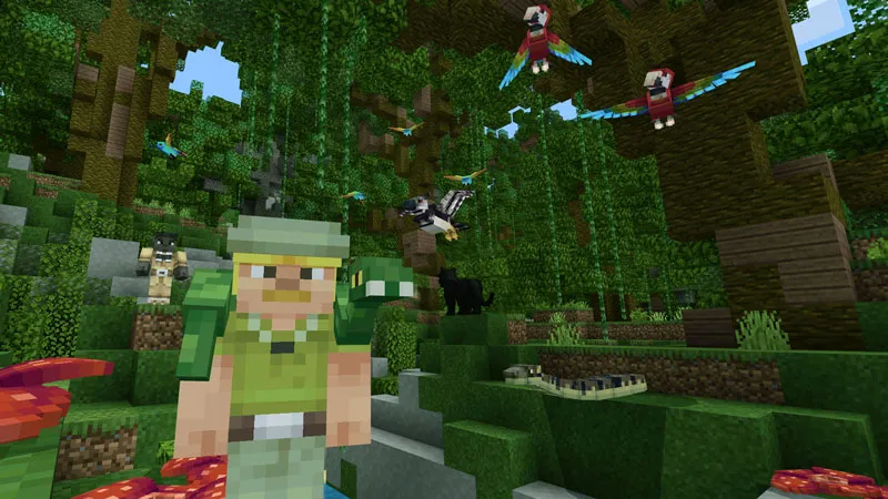 Rainforest Wildlife Explorers