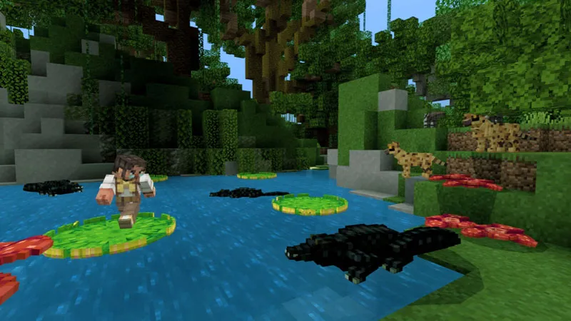 Rainforest Wildlife Explorers