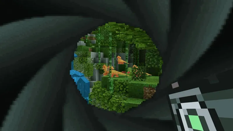 Rainforest Wildlife Explorers