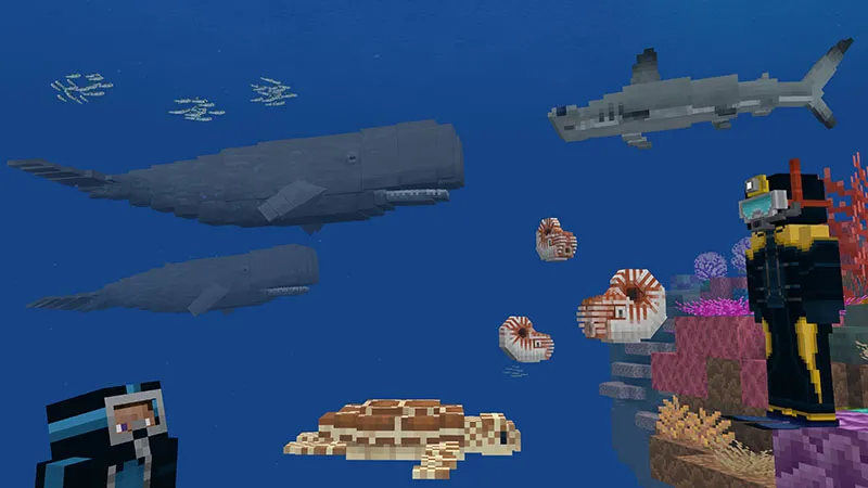 Marine Biologist Roleplay