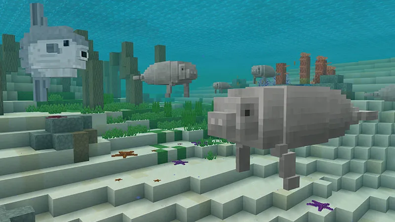 Marine Biologist Roleplay