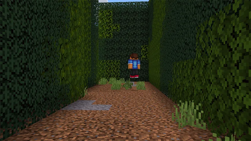 Maze Escape Speedrun