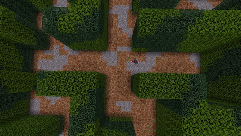 Maze Escape Speedrun