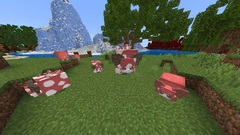 Sheep Rancher