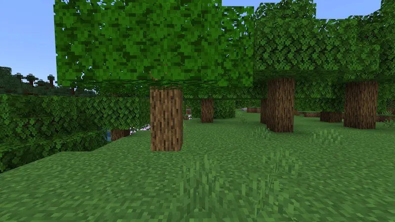 Hidden Tree Base