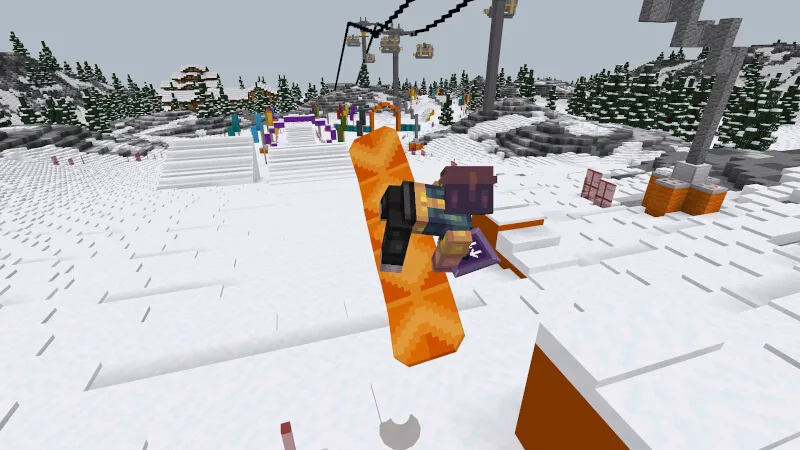SNOWBOARDS