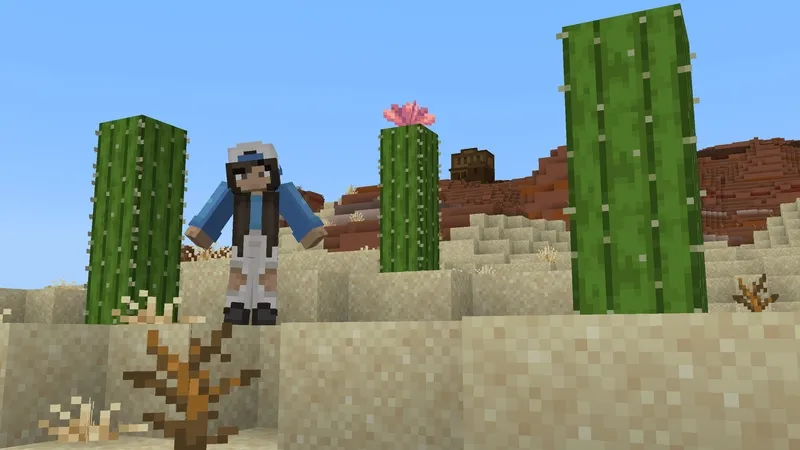 Craftable Secret Bases