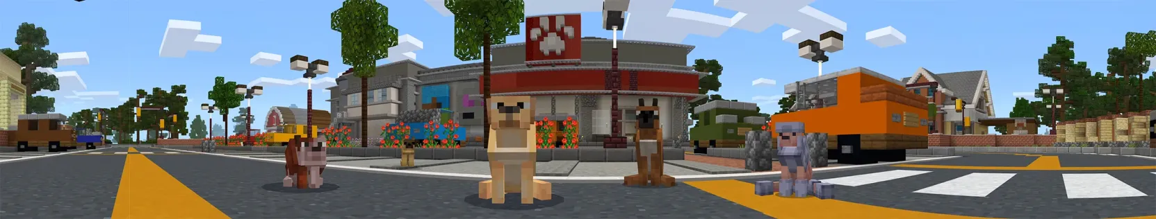 Pets