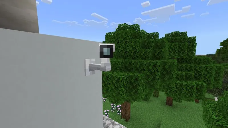 Security Cameras