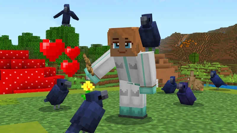 How to Live inside a Witch?