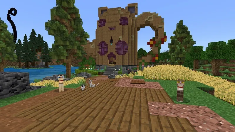 Cat House Village