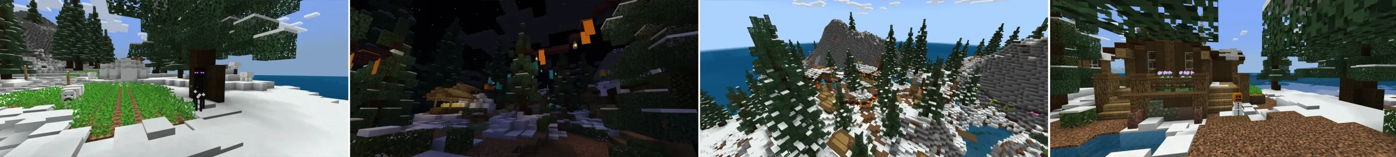 Winter Paradise