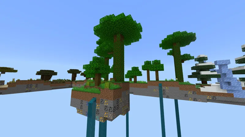 Biomes Skyblock