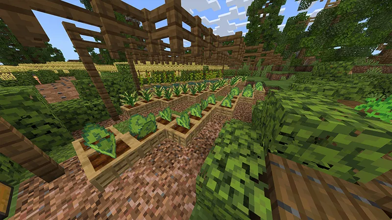 Expanded Food