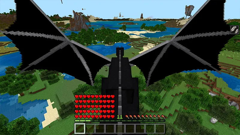 ENDER DRAGON