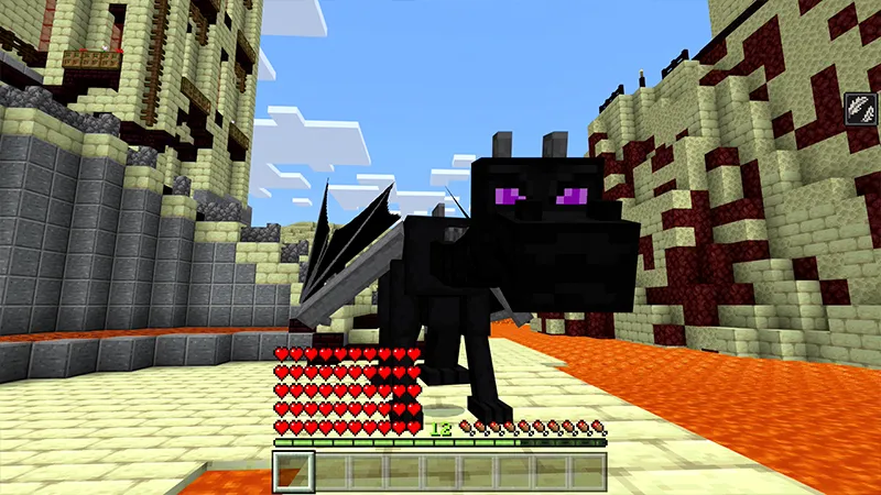 ENDER DRAGON