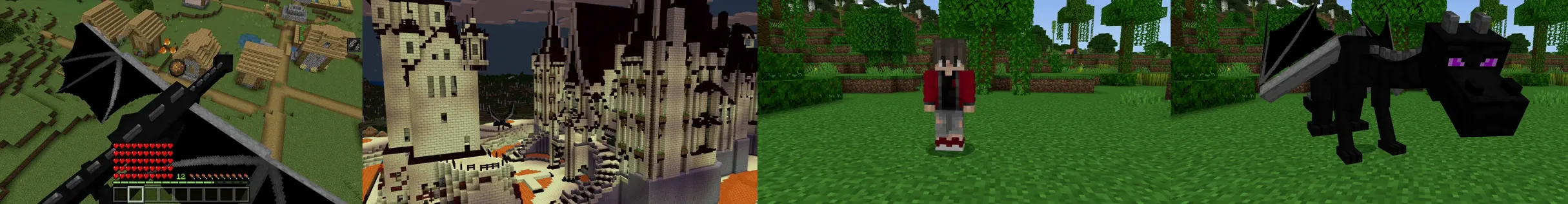 ENDER DRAGON