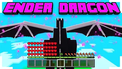 ENDER DRAGON