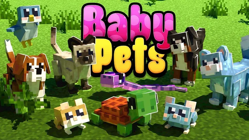 Baby Pets