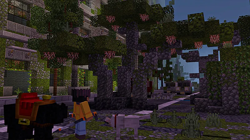 Mystic Camping Add-On