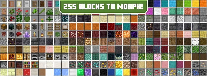 Morph Into Blocks