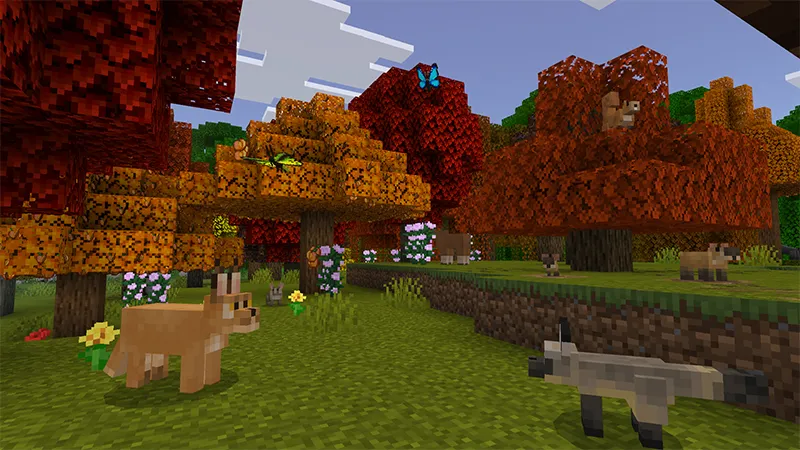 Wilderness Add-On