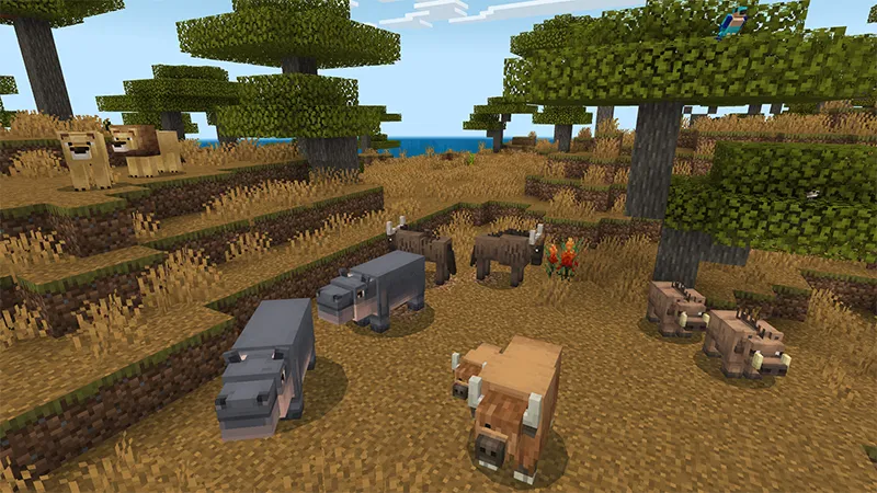 Wilderness Add-On