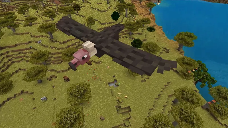 Wilderness Add-On