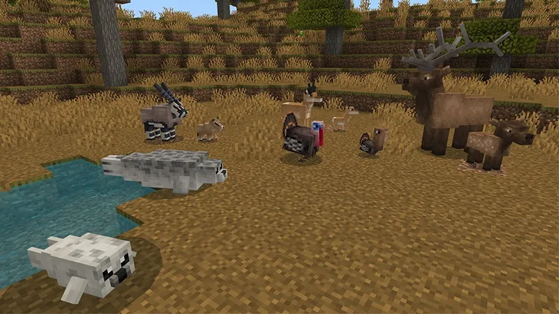 Wilderness Add-On