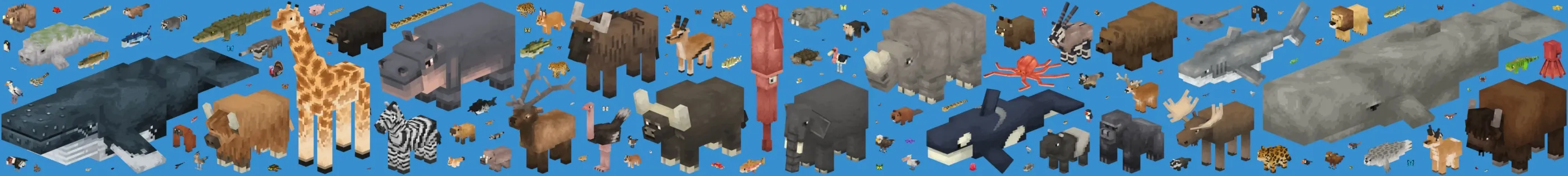 Wilderness Add-On