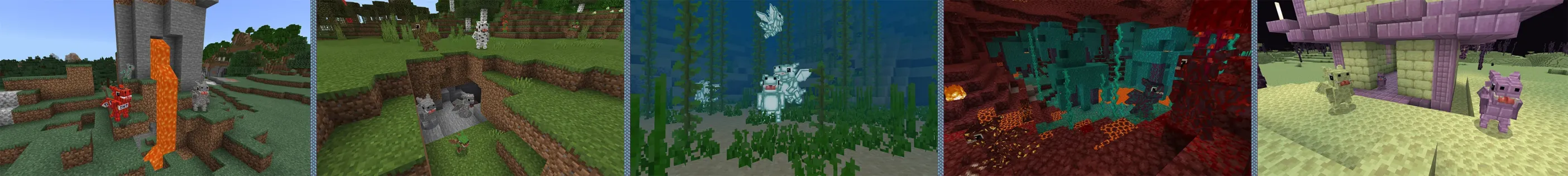 Dragon World