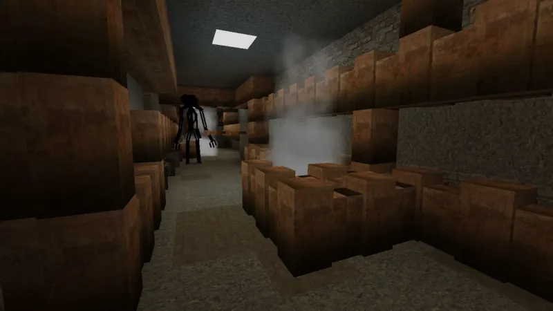 Escape the Backrooms