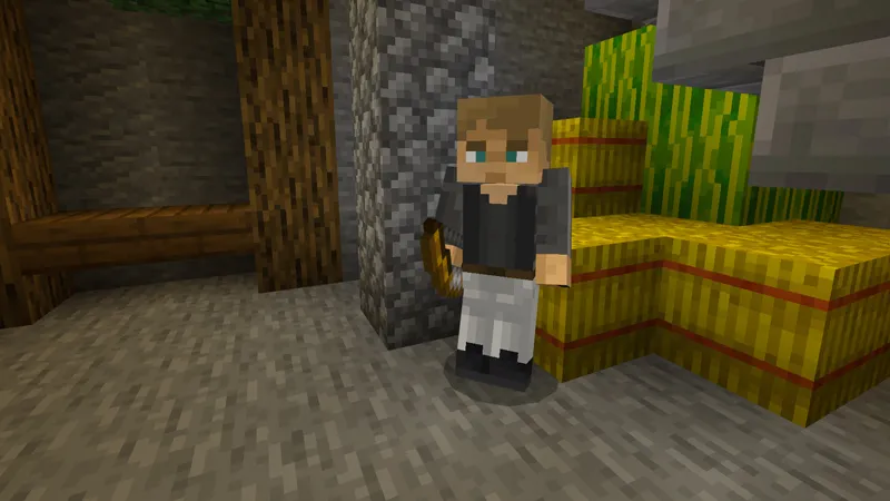 HIDE AND SEEK MYSTERY!