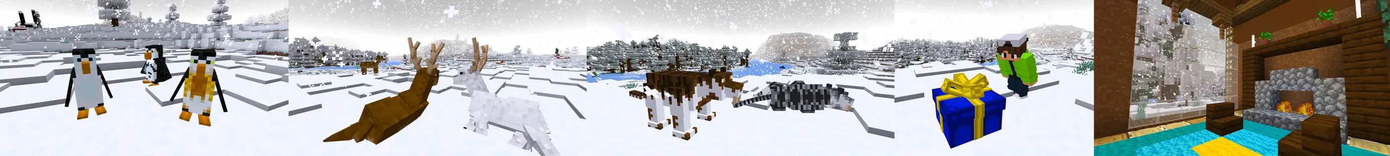 Winter Expansion