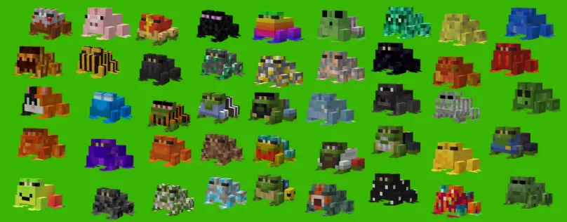 FROG++