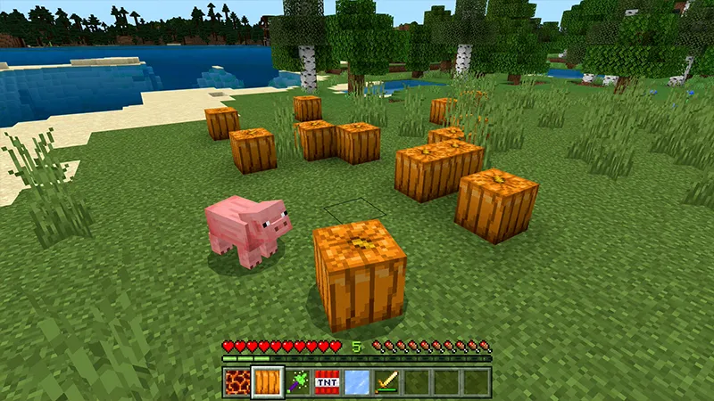 MORPH INTO BLOCKS!