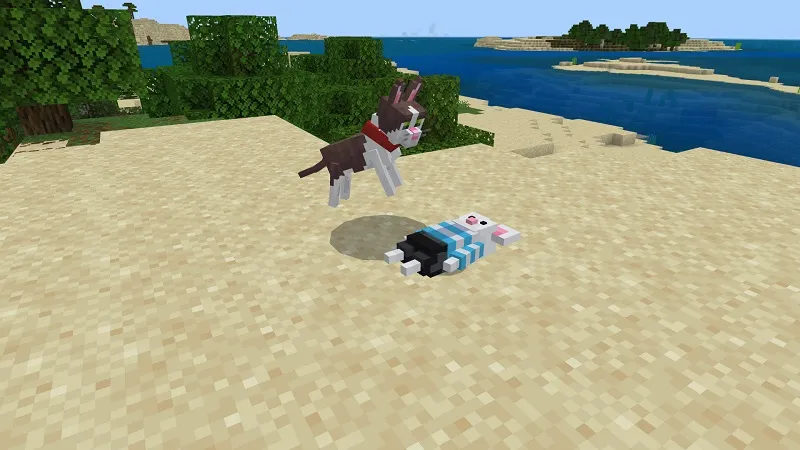 Cats And Dogs Add-On!