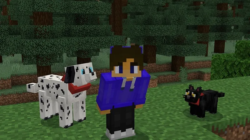 Cats And Dogs Add-On!