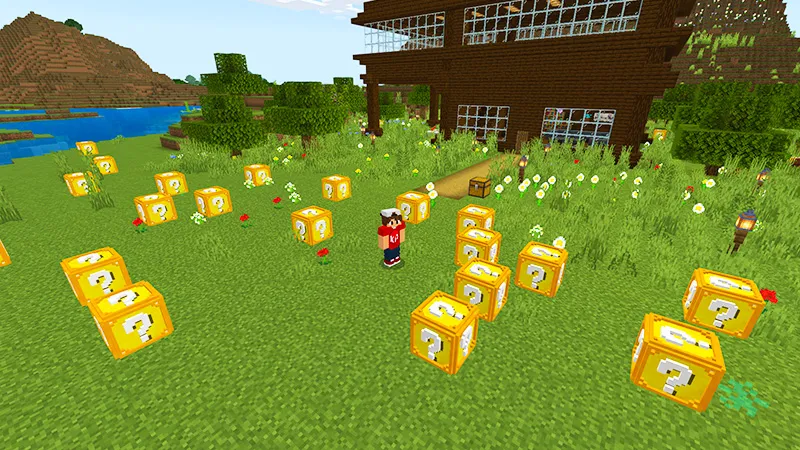 Lucky Blocks!